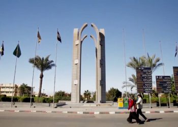 جامعة حلوان تنظم ورشة عمل حول قانون تنظيم البحوث الطبية الإكلينيكية  