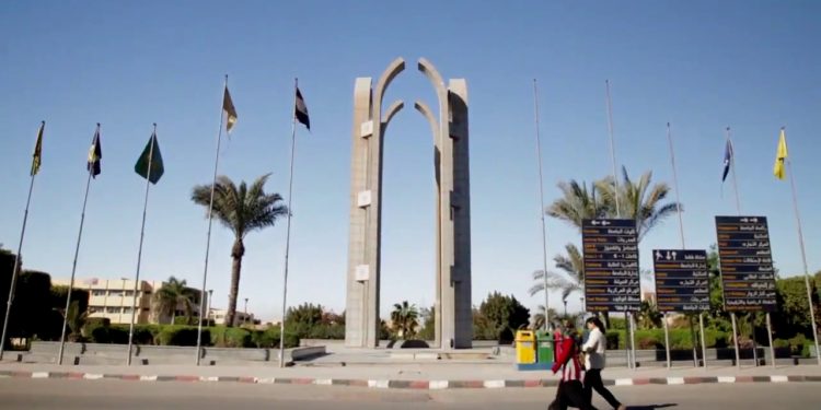 جامعة حلوان تنظم ورشة عمل حول قانون تنظيم البحوث الطبية الإكلينيكية  