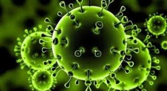 7 دول في الاتحاد الأوروبي توافق على لقاح كورونا الهندي