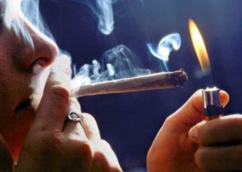 بحكم محكمة فصل 9 عاملين بالتربية والتعليم تعاطوا الحشيش والترامادول