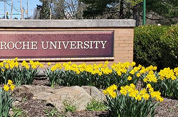 جامعة لاروش الأمريكية تقدم منحة لطلاب البكالوريوس