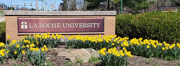 جامعة لاروش الأمريكية تقدم منحة لطلاب البكالوريوس