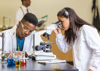 التعليم العالي: تنظيم مدارس للتدريب العملي لطلاب الجامعات المصرية بمدينة الأبحاث العلمي