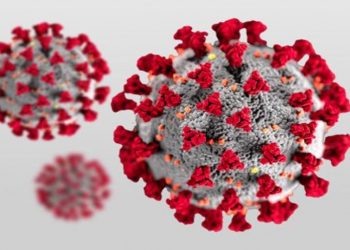 علامات الاستفهام تحوم حول مصدر كورونا والصحة العالمية تحسم الأمر