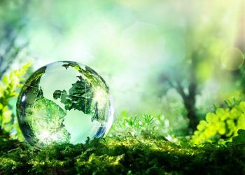 «الابتكار الأخضر» مسابقة في جامعة حلوان