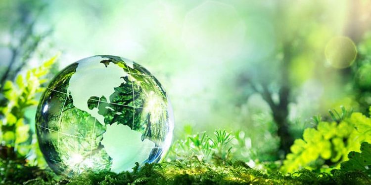 «الابتكار الأخضر» مسابقة في جامعة حلوان