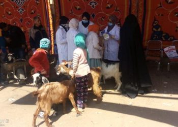 جامعة سوهاج تنظم قافلتها البيطرية المجانية لقرية أولاد إسماعيل بالمراغة