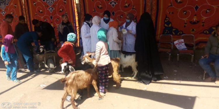 جامعة سوهاج تنظم قافلتها البيطرية المجانية لقرية أولاد إسماعيل بالمراغة