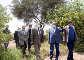 رئيس جامعة أسيوط يتفقد المزرعة الإرشادية ومحاصيل الخضر والفاكهة بمزرعة الغريب