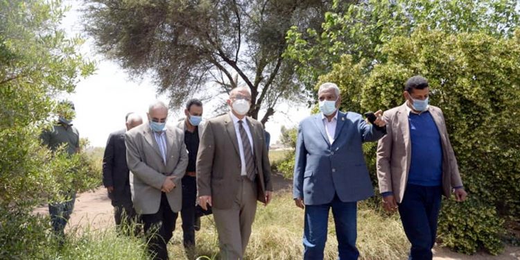 رئيس جامعة أسيوط يتفقد المزرعة الإرشادية ومحاصيل الخضر والفاكهة بمزرعة الغريب