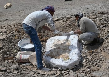 جامعة الوادي الجديد تعلن عن كشف علمي ضخم يعود تاريخه لعصر الديناصورات