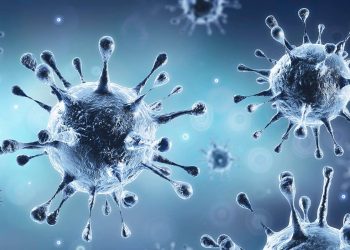 منظمة الصحة العالمية تكشف معلومات جديدة حول منشأ كورونا