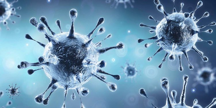 منظمة الصحة العالمية تكشف معلومات جديدة حول منشأ كورونا