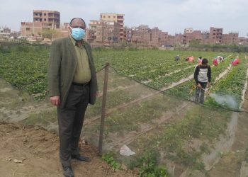 جامعة بنها تنظم قافلة زراعية بقرية "الدير" بطوخ