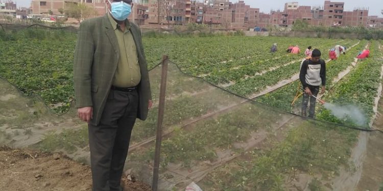 جامعة بنها تنظم قافلة زراعية بقرية "الدير" بطوخ