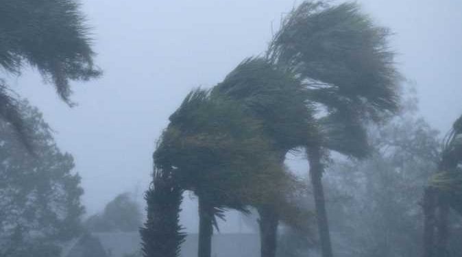 أمطار خفيفة ونشاط للرياح.. تعرف على طقس الثلاثاء