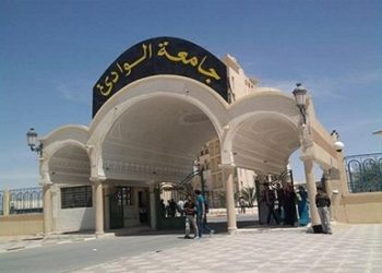 جامعة الوادى الجديد توفر عجول وأغنام بمناسبة عيد الأضحى