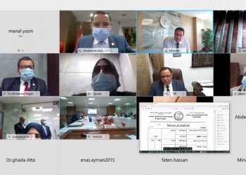 انشاء الشركة المصرية لخدمات تقنيات الاستشعار من البعد وعلوم الفضاء