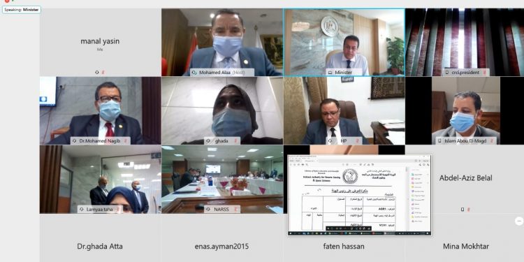 انشاء الشركة المصرية لخدمات تقنيات الاستشعار من البعد وعلوم الفضاء