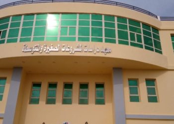  التعليم العالي: مشروعات في جامعة بني سويف بتكلفة 736 مليون جنيه