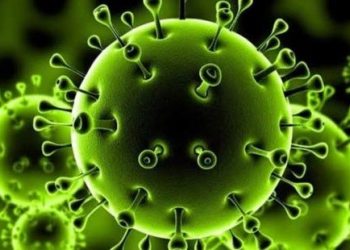 ظهرت في الهند.. سلالة جديدة لكورونا "مزدوجة التحور"