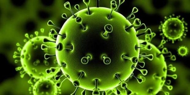 ظهرت في الهند.. سلالة جديدة لكورونا "مزدوجة التحور"