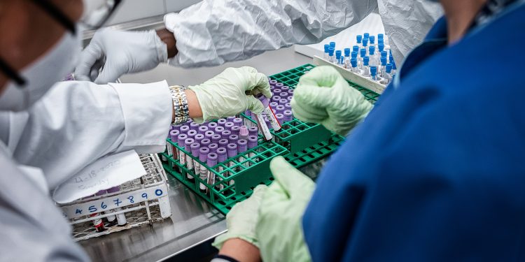 خطوة جديدة.. أول حبوب لعلاج كورونا نهاية العام الجاري