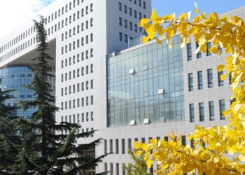 تفاصيل منح جامعة بكين للغات للعام الدراسي الجديد 