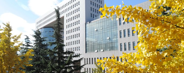 تفاصيل منح جامعة بكين للغات للعام الدراسي الجديد