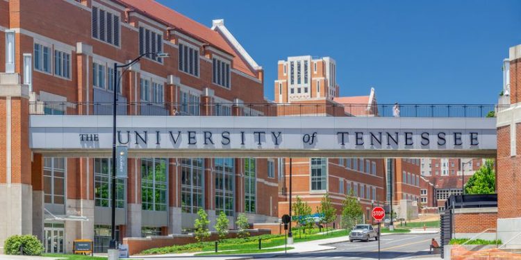 جامعة تينيسي الأمريكية تقدم منحة لطلاب البكالوريوس
