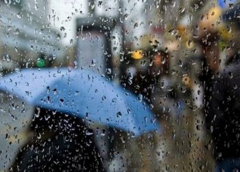 أمطار خفيفة إلى متوسطة واستمرار الشبورة المائية.. تعرف على طقس الخميس