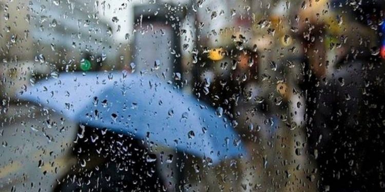 أمطار خفيفة إلى متوسطة واستمرار الشبورة المائية.. تعرف على طقس الخميس