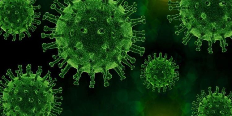 دراسة جديدة: نزلات البرد قد توفر حماية من فيروس كورونا