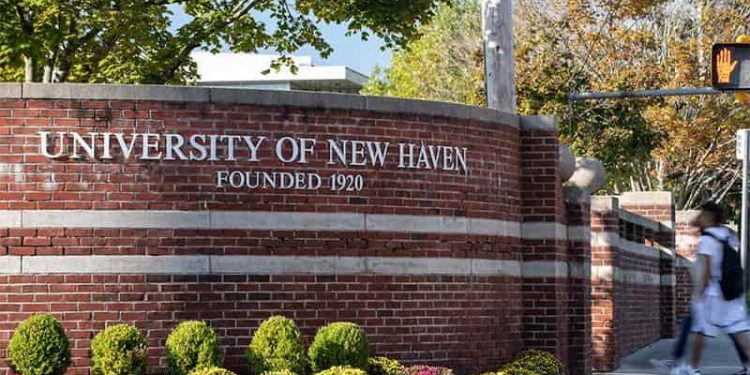 جامعة "نيو هافن" تقدم منحة دراسية لطلاب الدراسات العليا