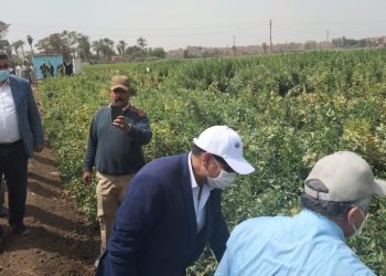 جولة تفقدية لرئيس أكاديمية البحث العلمي في محطة البحوث الزراعية ببني سويف