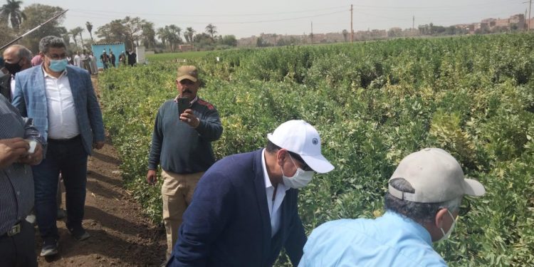 جولة تفقدية لرئيس أكاديمية البحث العلمي في محطة البحوث الزراعية ببني سويف