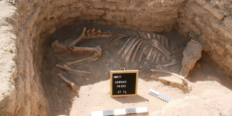 بلومبرج عن اكتشاف المدينة المفقودة في الأقصر: أحدث عجائب العصر الفرعوني