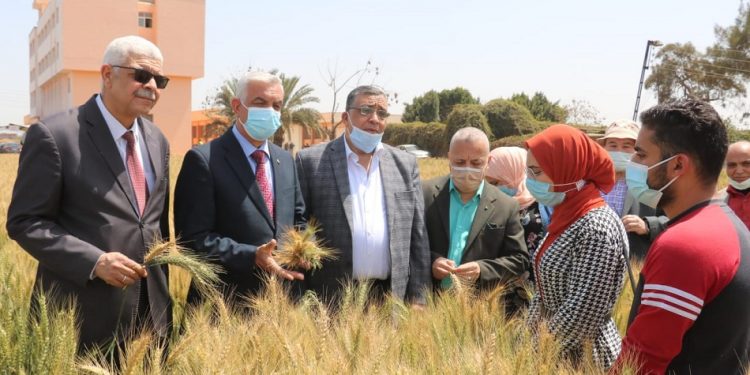 جامعة المنوفية تحتفل بيوم الحقل بمزرعة الراهب