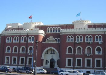 جامعة الإسكندرية تعلن توصيات المؤتمر العلمي الدولي الافتراضي لكلية التربية الرياضية