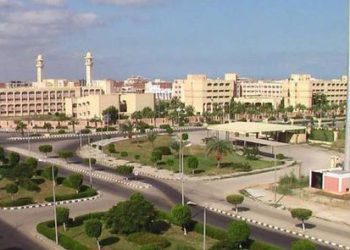 دمياط بتصنيف تايمز البريطاني للجامعات ذات التأثير المجتمعي