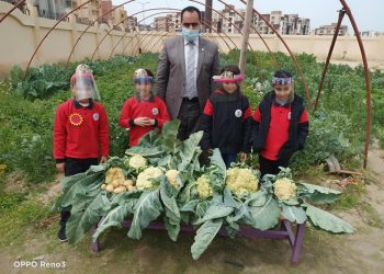 مدير المدرسة المصرية اليابانية بدمياط يكشف فعاليات مشروع "بستان الخير"