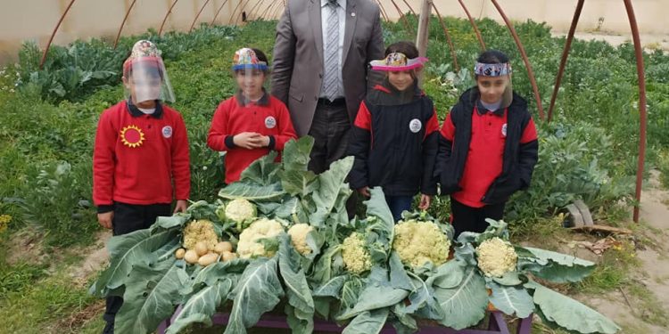 مدير المدرسة المصرية اليابانية بدمياط يكشف فعاليات مشروع "بستان الخير"