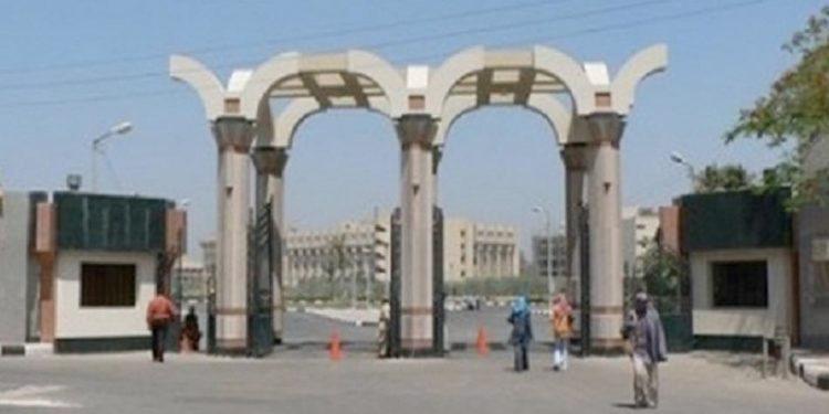 محو أمية 4 أشخاص شرط التخرج بـ5 كليات بجامعة مطروح