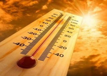 منح الجامعات في 24 ساعة.. فرص دراسية وتدريبية للطلاب