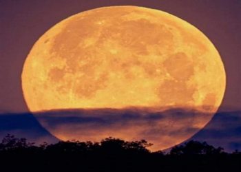 اليوم.. أول قمر عملاق يزين سماء مصر في 2021