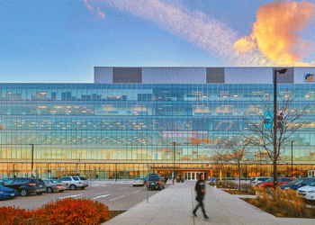 كلية همبر الكندية تقدم منحة لطلاب البكالوريوس