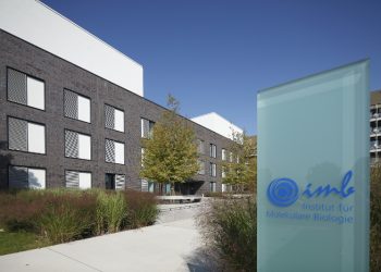 معهد البيولوجيا الجزئية في ألمانيا يقدم فرصة تدريب صيفي للطلاب عبر الإنترنت