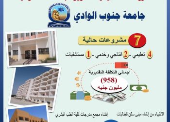 التعليم العالي: مشروعات تنفيذية في جامعة جنوب الوادي بتكلفة 958 مليون جنيه