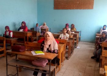 «شوقي»: الامتحان التجريبي سيعقد على شبكة local بالمدارس المجهزة