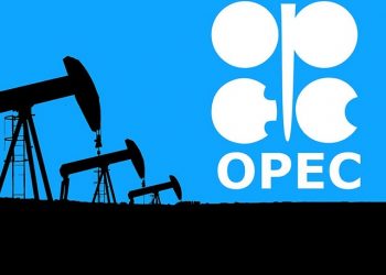 منظمة الأوبك تقدم فرصة تدريب للطلاب